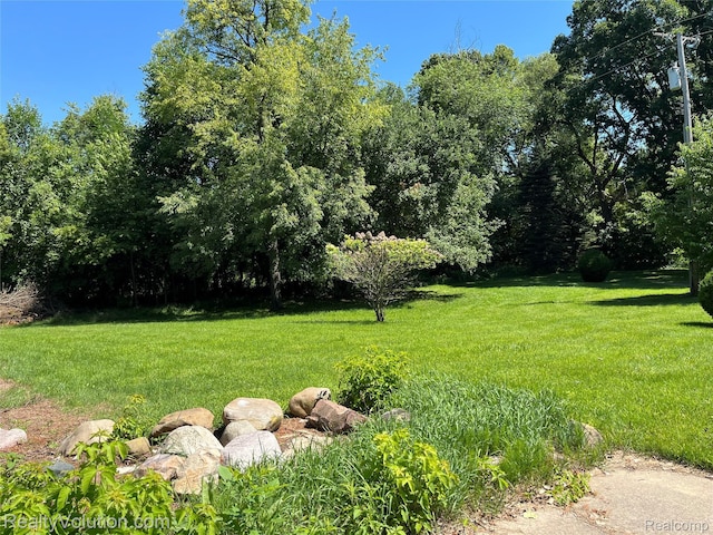 6649 Mckibbon Rd, North Branch, MI 48461 - photo 29