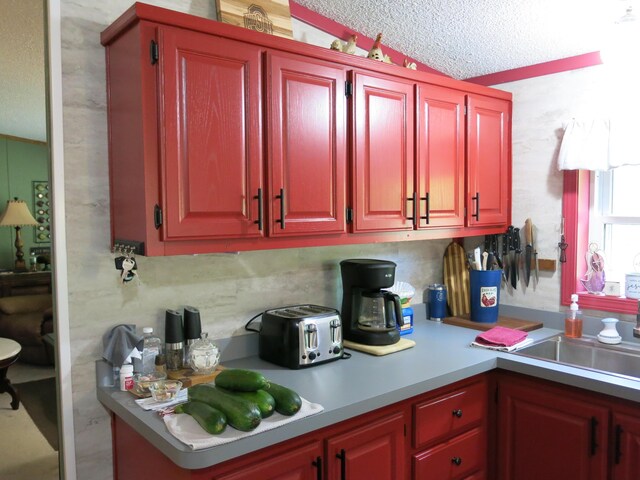 3509 Nokomis Trl, Osseo, MI 49266 - photo 12