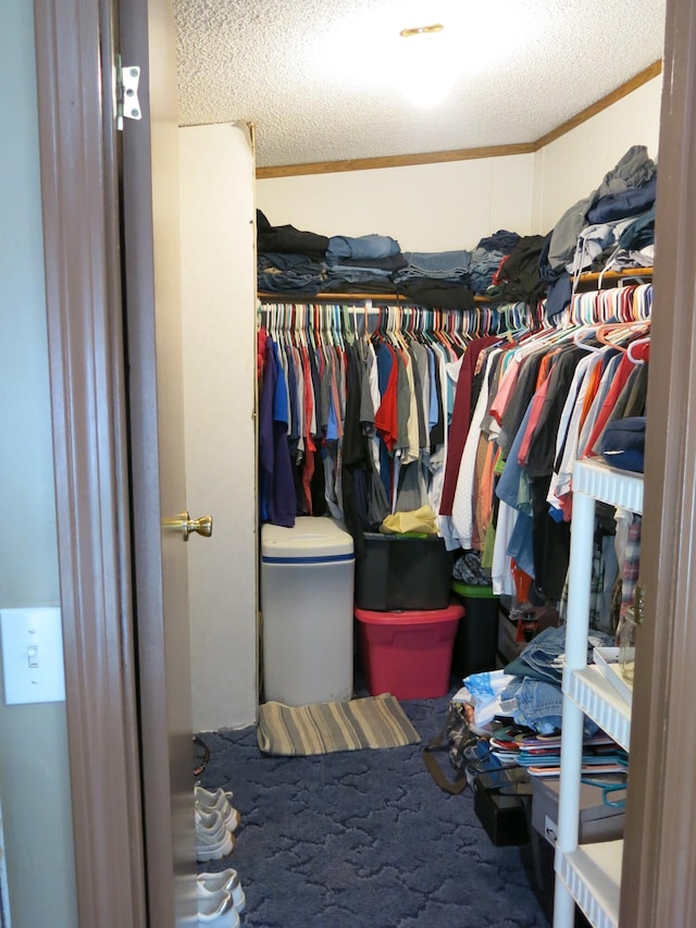 3509 Nokomis Trl, Osseo, MI 49266 - photo 22