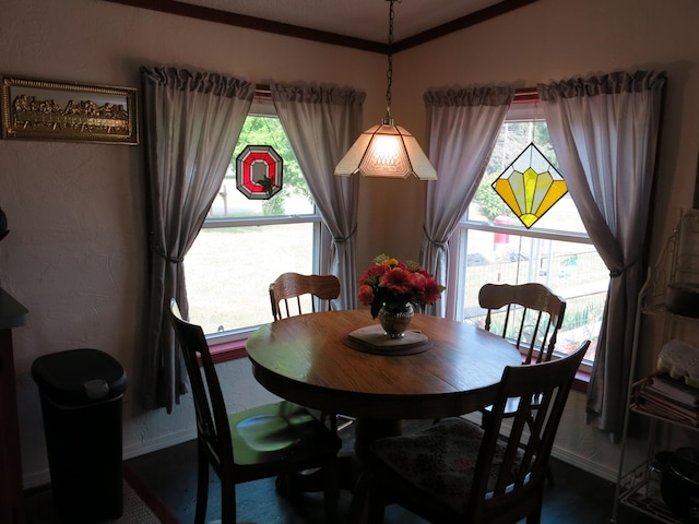 3509 Nokomis Trl, Osseo, MI 49266 - photo 13