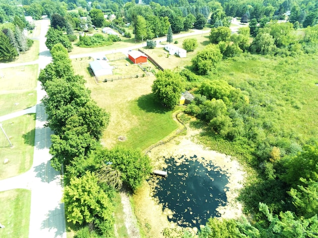 3509 Nokomis Trl, Osseo, MI 49266 - photo 3