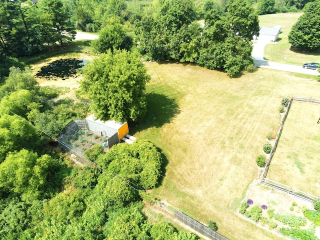 3509 Nokomis Trl, Osseo, MI 49266 - photo 4