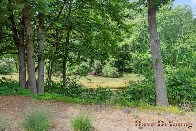 329 Running Water Ct NW, Sparta, MI 49345 - photo 61