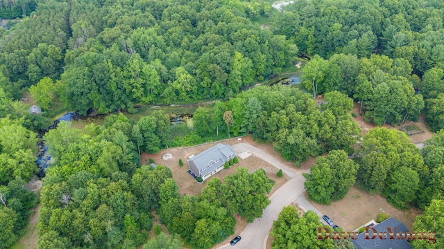 329 Running Water Ct NW, Sparta, MI 49345 - photo 67