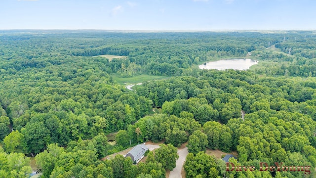 329 Running Water Ct NW, Sparta, MI 49345 - photo 68