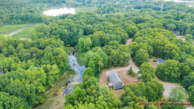 329 Running Water Ct NW, Sparta, MI 49345 - photo 69