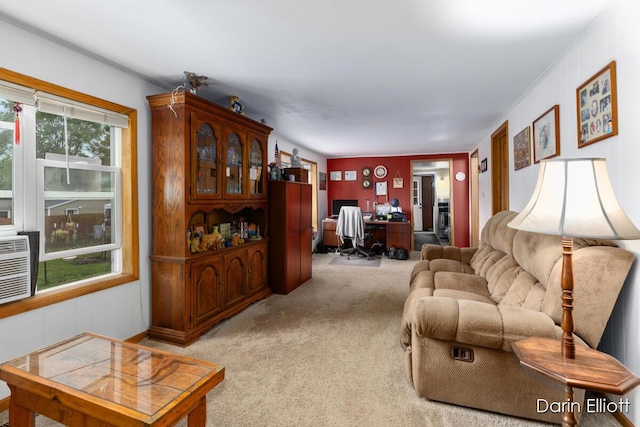 539 Price St, Ionia, MI 48846 - photo 10
