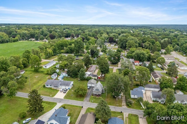 539 Price St, Ionia, MI 48846 - photo 30