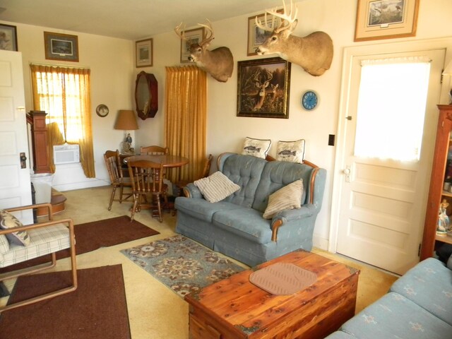 1306 N Tippy Dam Rd, Wellston, MI 49689 - photo 21