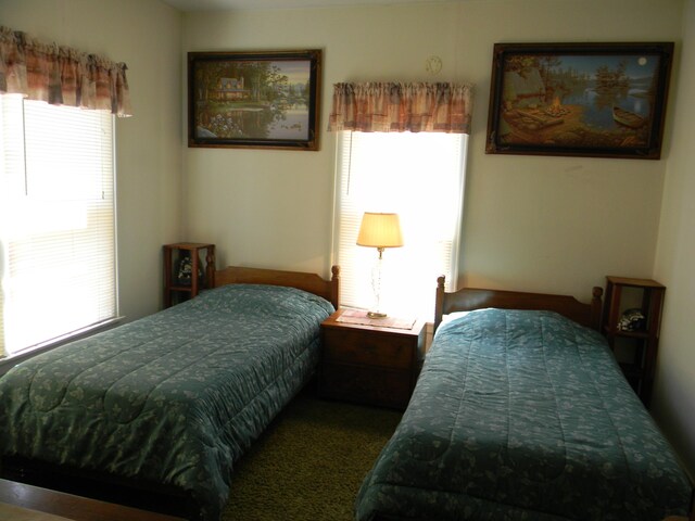 1306 N Tippy Dam Rd, Wellston, MI 49689 - photo 23