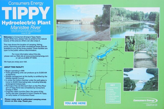 1306 N Tippy Dam Rd, Wellston, MI 49689 - photo 79