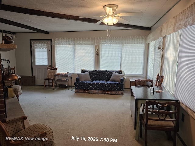 3443 Deerfield Ln, Lupton, MI 48635 - photo 18