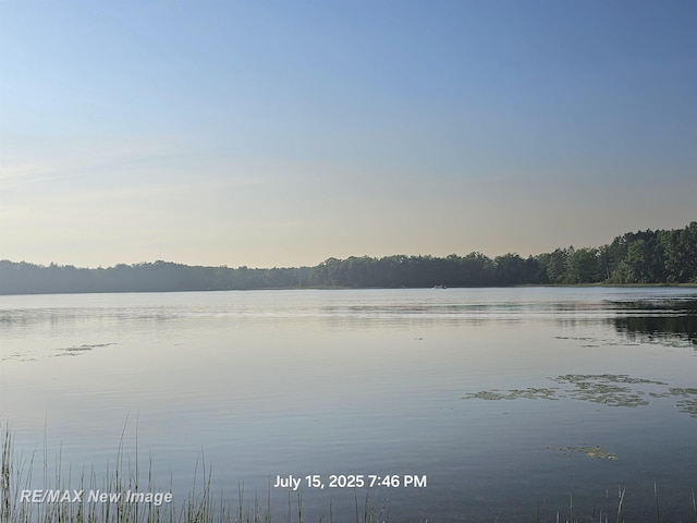3443 Deerfield Ln, Lupton, MI 48635 - photo 46