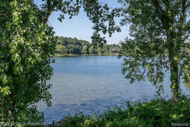 1777 Alexander Dr, Bloomfield Hills, MI 48302 - photo 80