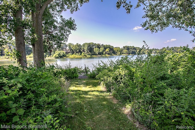 1777 Alexander Dr, Bloomfield Hills, MI 48302 - photo 78