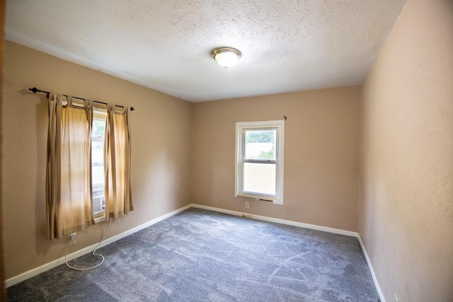 2708 Paul St, Niles, MI 49120 - photo 16