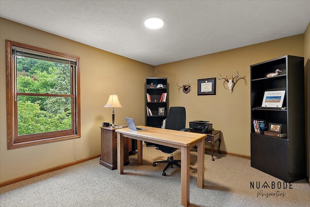 8630 Cedar Lake Dr, Jenison, MI 49428 - photo 56