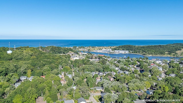 805 Cutler St, Grand Haven, MI 49417 - photo 46