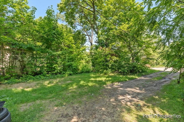 913 Egleston Ave, Kalamazoo, MI 49001 - photo 34