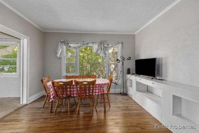913 Egleston Ave, Kalamazoo, MI 49001 - photo 6
