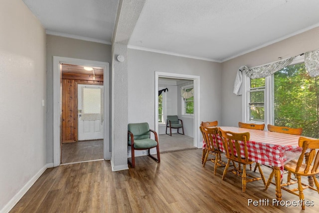 913 Egleston Ave, Kalamazoo, MI 49001 - photo 7