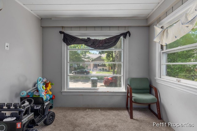 913 Egleston Ave, Kalamazoo, MI 49001 - photo 8