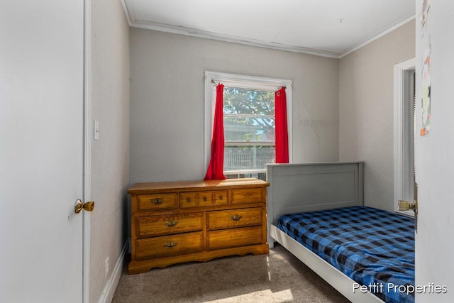913 Egleston Ave, Kalamazoo, MI 49001 - photo 13