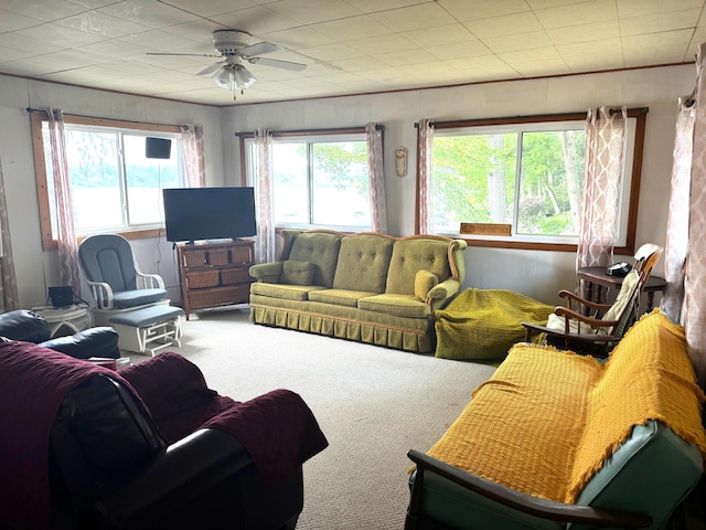 16025 Oak St, Decatur, MI 49045 - photo 10