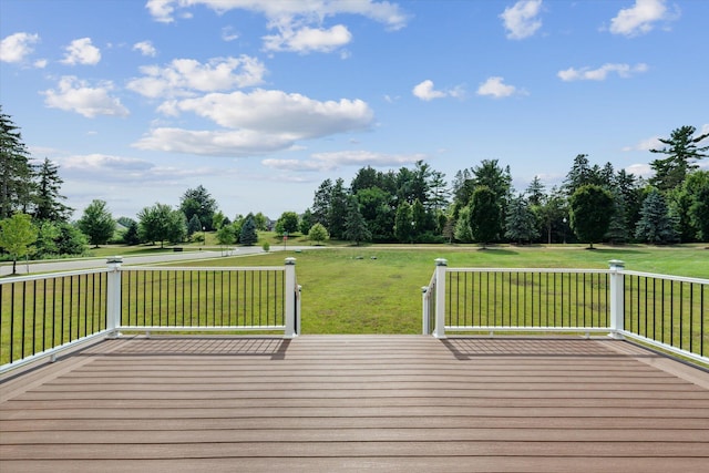 10298 High Meadow St, Saline, MI 48176 - photo 41