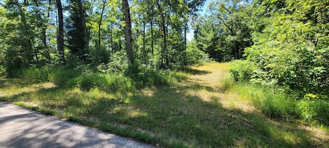 4735 S Astor Rd, Baldwin, MI 49304 - photo 24