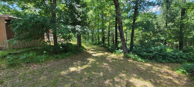 4735 S Astor Rd, Baldwin, MI 49304 - photo 19