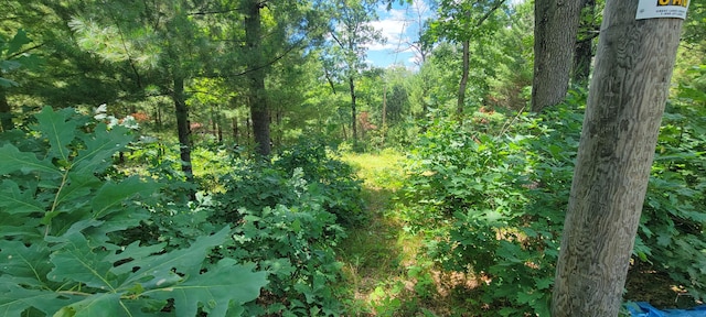 4735 S Astor Rd, Baldwin, MI 49304 - photo 20
