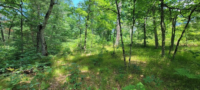 4735 S Astor Rd, Baldwin, MI 49304 - photo 22