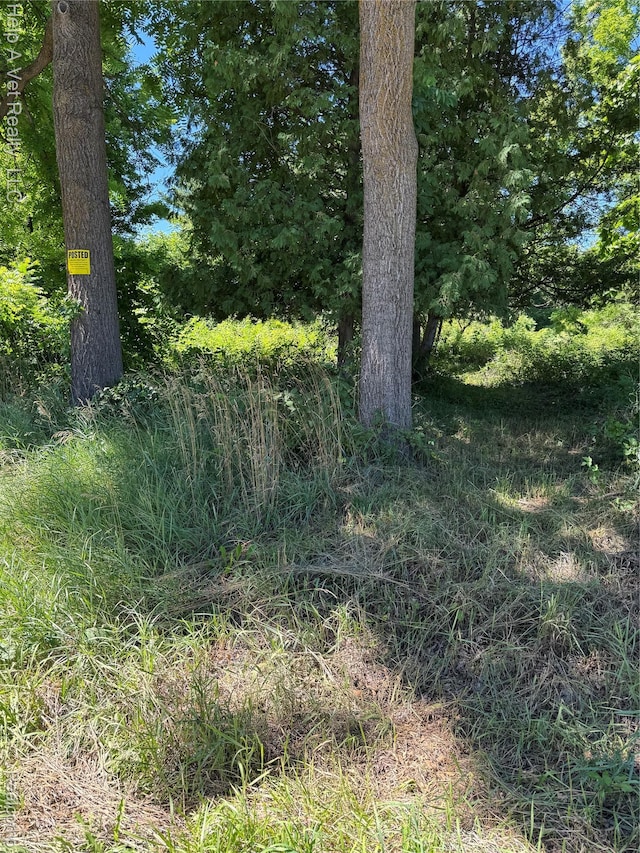 4991 Mayville Rd, Silverwood, MI 48760 - photo 3