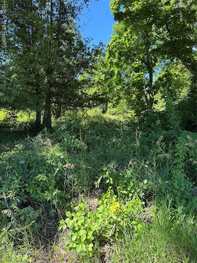 4991 Mayville Rd, Silverwood, MI 48760 - photo 1