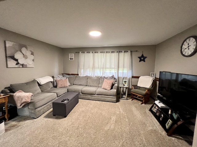 715-717 N Bradley Rd, Mount Pleasant, MI 48858 - photo 2