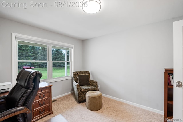 4653 6 Mile Rd, South Lyon, MI 48178 - photo 19