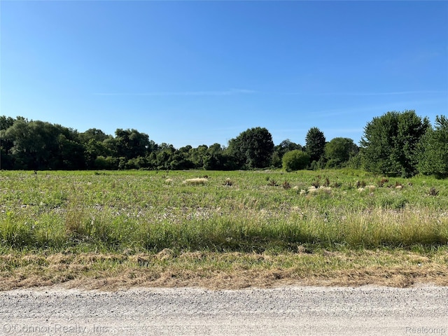 VL Lambs Rd, Goodells, MI 48027 - photo 3