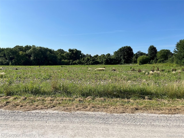 VL Lambs Rd, Goodells, MI 48027 - photo 2