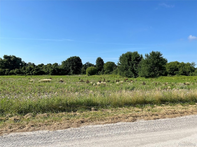 VL Lambs Rd, Goodells, MI 48027 - photo 4