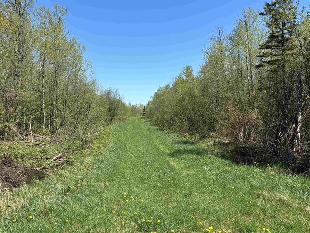 VL160A W M-48, Pickford, MI 49774 - photo 29