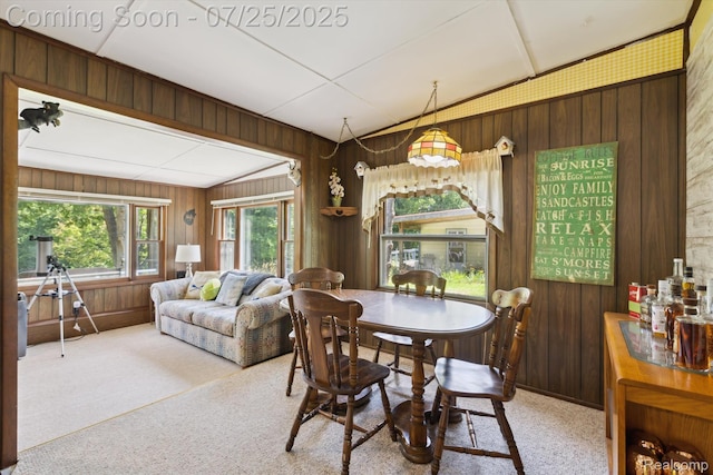 18376 Oxbow Dr, Barryton, MI 49305 - photo 7