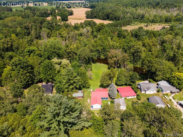 18376 Oxbow Dr, Barryton, MI 49305 - photo 27