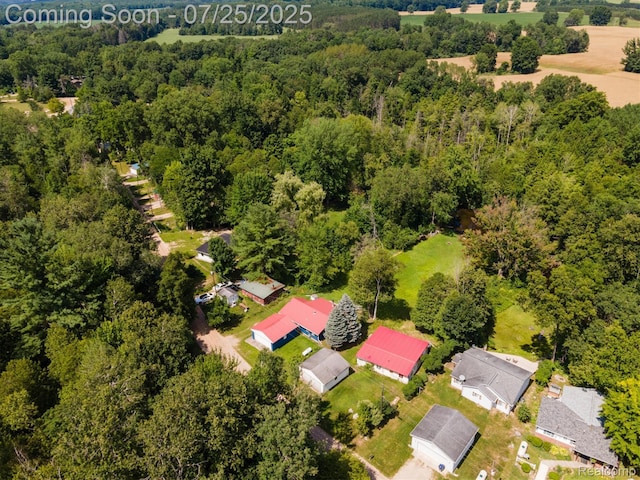 18376 Oxbow Dr, Barryton, MI 49305 - photo 28