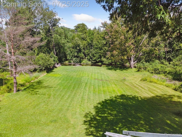 18376 Oxbow Dr, Barryton, MI 49305 - photo 34