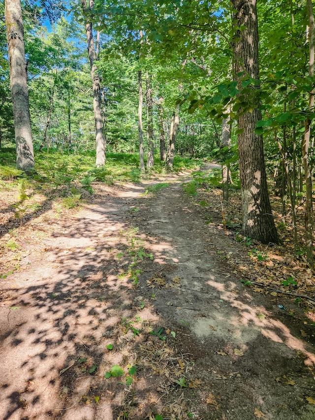 5341 N Benson Rd, Fountain, MI 49410 - photo 25