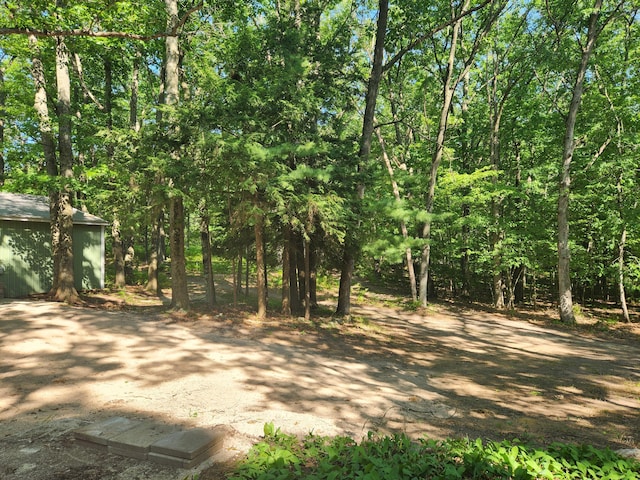 5341 N Benson Rd, Fountain, MI 49410 - photo 28
