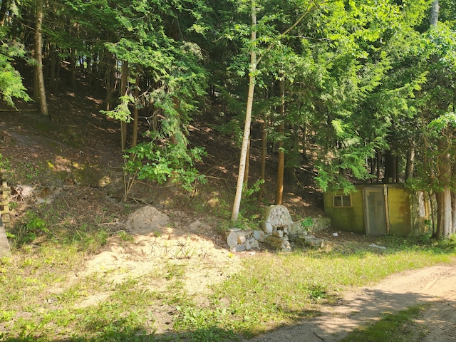 5341 N Benson Rd, Fountain, MI 49410 - photo 32