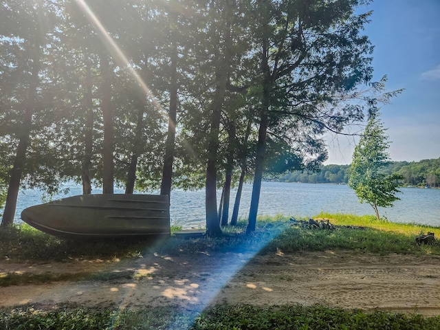 5341 N Benson Rd, Fountain, MI 49410 - photo 2