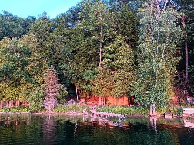 5341 N Benson Rd, Fountain, MI 49410 - photo 40